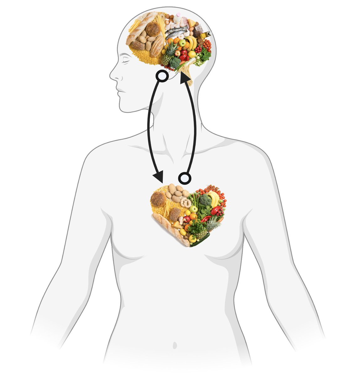KhalsaLab's tweet photo. Curious about the neural basis of anorexia nervosa (AN) and how interoception plays a role? Our new study dives deep into the central autonomic network alterations in AN following an adrenaline-like stimulation of heart-brain communication. 1/7 https://t.co/dNjPiSlVLI
