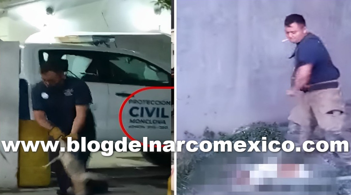 blogdelnarcomex's tweet photo. Bomberos de Monclova, Coahuila mataban a perros que "rescataban" con golpes en la cabeza https://t.co/9yeoe2zY9J https://t.co/k53wWXAUeY