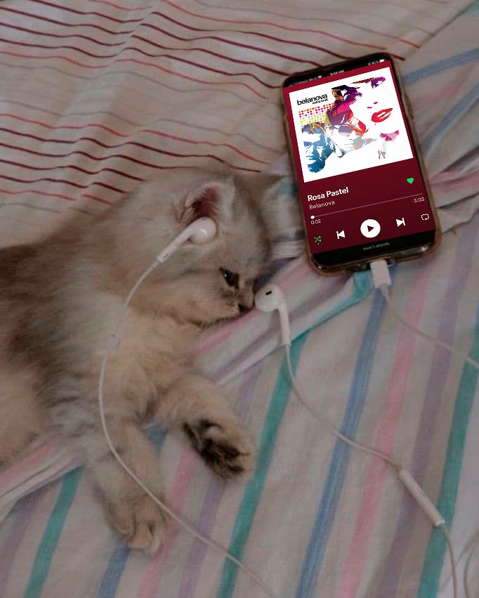 ellaz____'s tweet photo. mood: https://t.co/aob8kulIjo