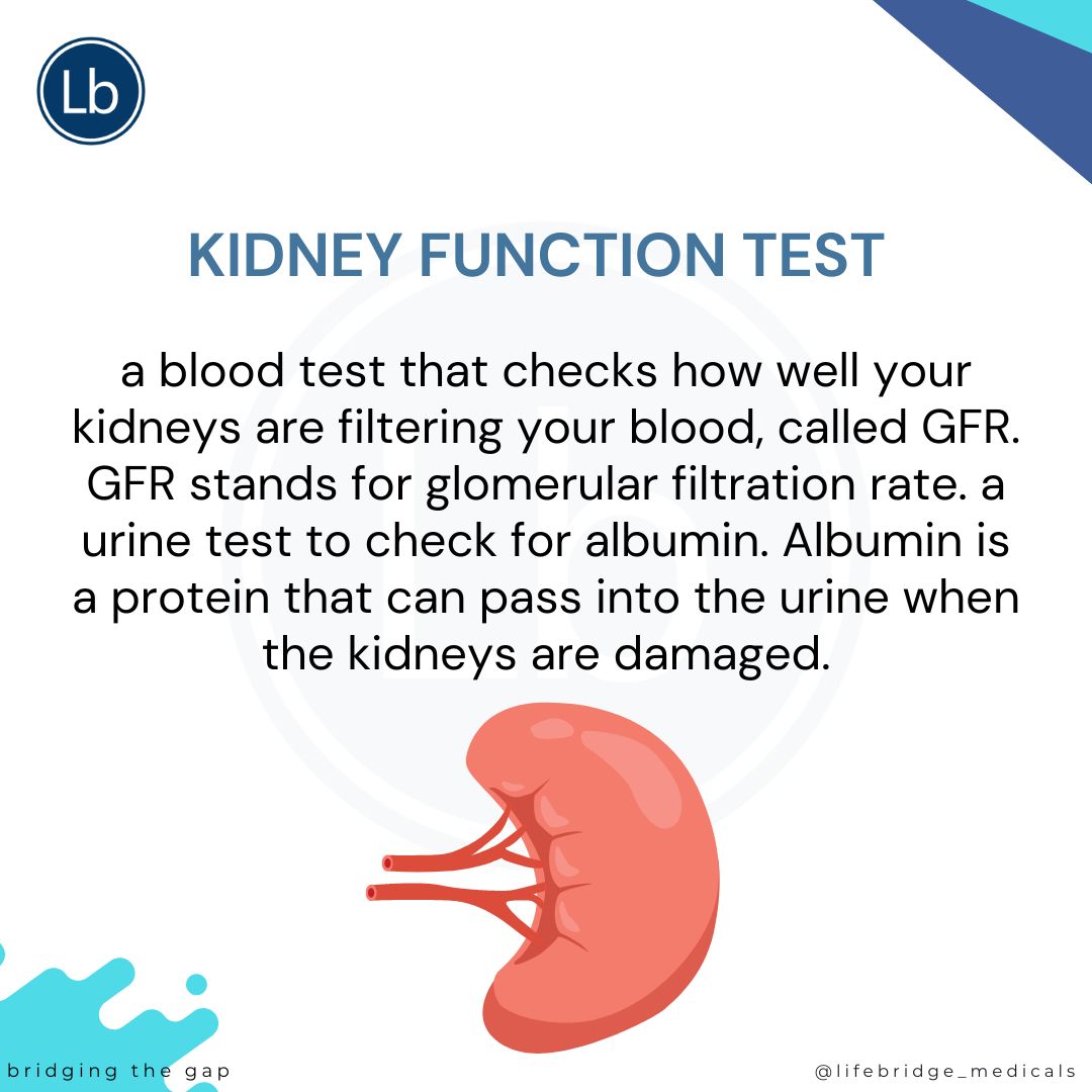 LifebridgeMDC's tweet photo. Habits that harm the kidney include.....

1. Overusing Painkillers. ...
2. Eating Processed Foods.
3. Not Drinking Enough Water.
4. Missing Out on Sleep.
5. Eating Too Much Meat.
6. Eating Too Many sugar
7. Drinking Alcohol in Excess
#kidney #kidneyfailure #lifebridge #GFR https://t.co/JKYvOJ4lVA