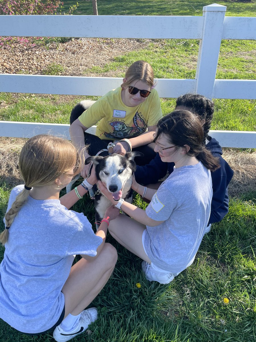 Patty_Yoo_'s tweet photo. Such a great morning loving on animals at Always amd Furever with our @CSTWildcatsMS #CSTService2023 https://t.co/TiCWsgfQ1J