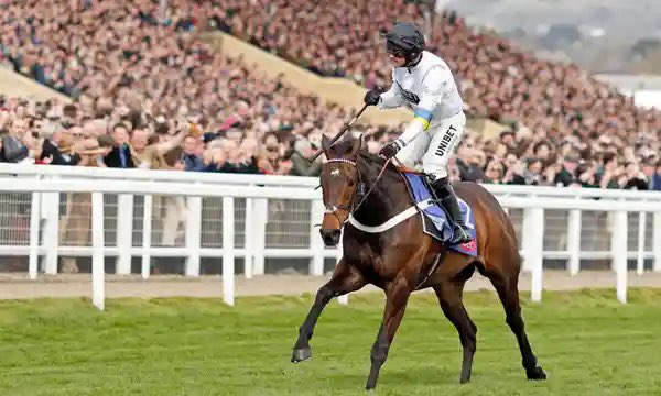 mylittletip's tweet photo. 🚨 £50 FREE BET GIVEAWAY FOR THE #GRANDNATIONAL🚨

💰 If #CONSITUTIONHILL wins the Aintree Hurdle tomorrow (currently 1/7) we will give away a £50 free bet for the big one on Sat!

✅ Simply RT and ❤️ to enter 

🔞 Must be following, winner announced Sat if successful https://t.co/F6nSA5rKDH