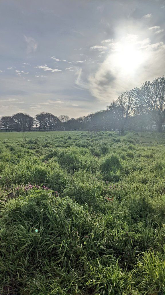 Forest Gate serving misty, dewy, bright spring this morning