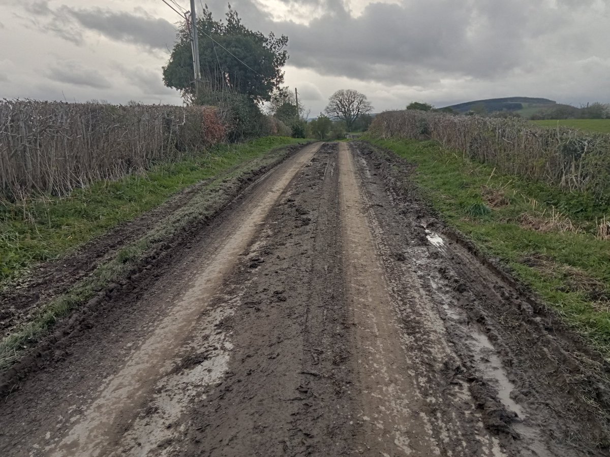 Shobdon Village tweet media