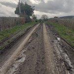 Photo by Shobdon Village (@shobdon)