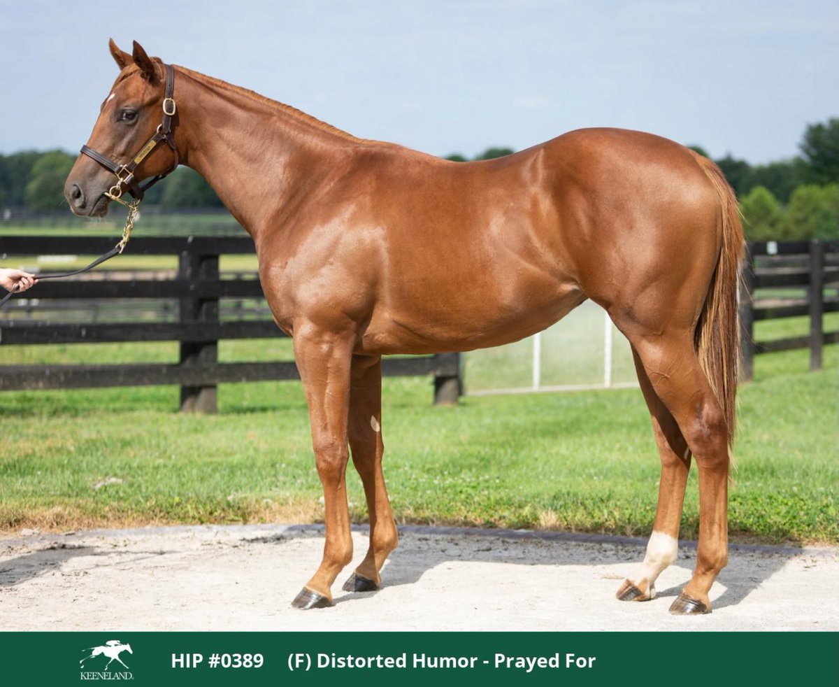 Kathie Roller-Stell tweet media