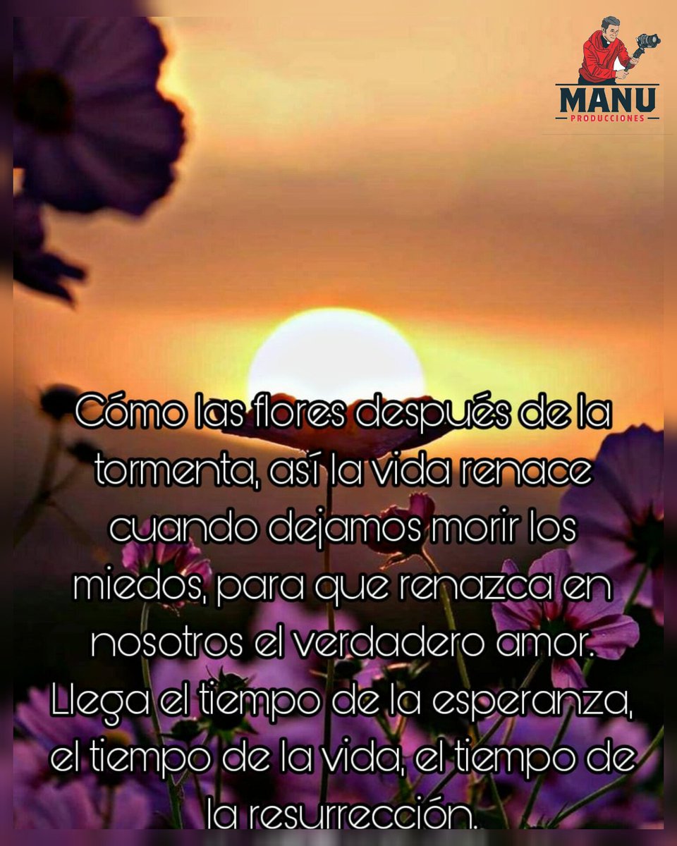 📬 "Cómo las flores después de la tormenta, así la vida renace cuando dejamos morir los miedos..."

 #FelizMiercoles #10palabras #dolar #Luz