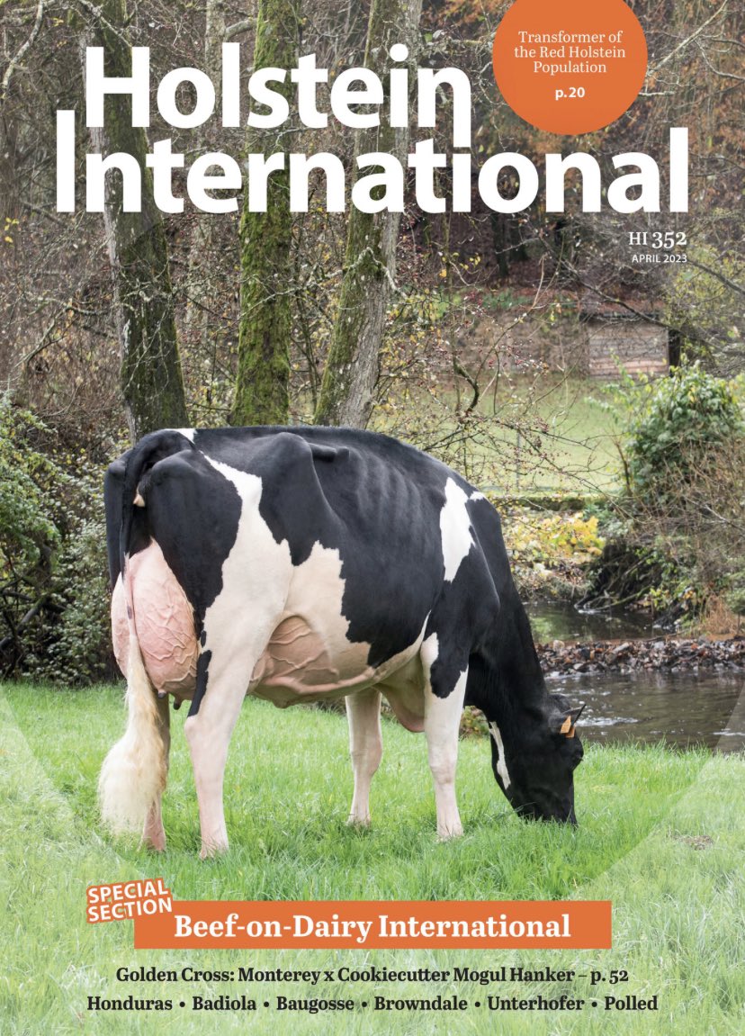 Ross Hamilton 🐄☎️🐄☎️🐑🦃🐓 tweet media