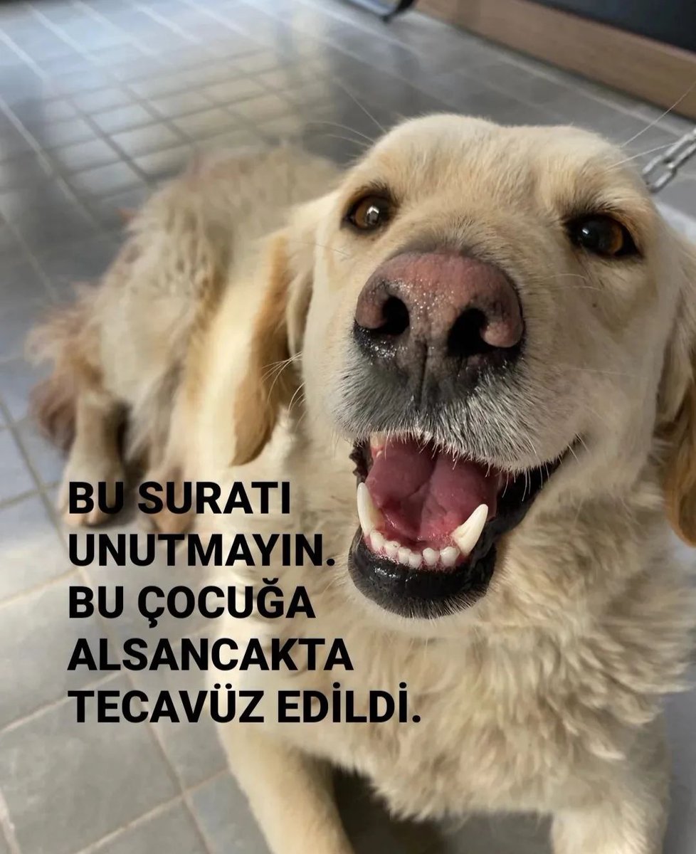 Bugün Bu Masuma İzmir/Alsancak'da 
TECAVÜZ edildi.... Adalet nerde ???
<a href="/haydarozkan06/">Haydar Özkan</a> <a href="/degirmencirfan/">irfan değirmenci</a> <a href="/alcinsoy06/">Türesin Alçınsoy</a> <a href="/kursatmican/">M. Kürşat MİCAN</a> <a href="/Nihal_K34/">Nihal Aydın</a> <a href="/nihalerkoc06/">Nihal Erkoç</a> <a href="/RizaKocaoglu/">Rıza Kocaoğlu</a> <a href="/GoztepeGK/">Göztepe GK</a> <a href="/halktvcomtr/">Halk TV</a> <a href="/cenkerenonline/">Cenk Eren</a> <a href="/cezayirdogan/">Cezayir Doğan</a> <a href="/ArzuErdogral/">Arzu Erdoğral</a> <a href="/atadanarzu/">Arzu🇹🇷</a> <a href="/yukselreyhan/">Reyhan Yüksel</a> <a href="/asyanikomeroglu/">Ayşe Sibel Yanıkömeroğlu</a>