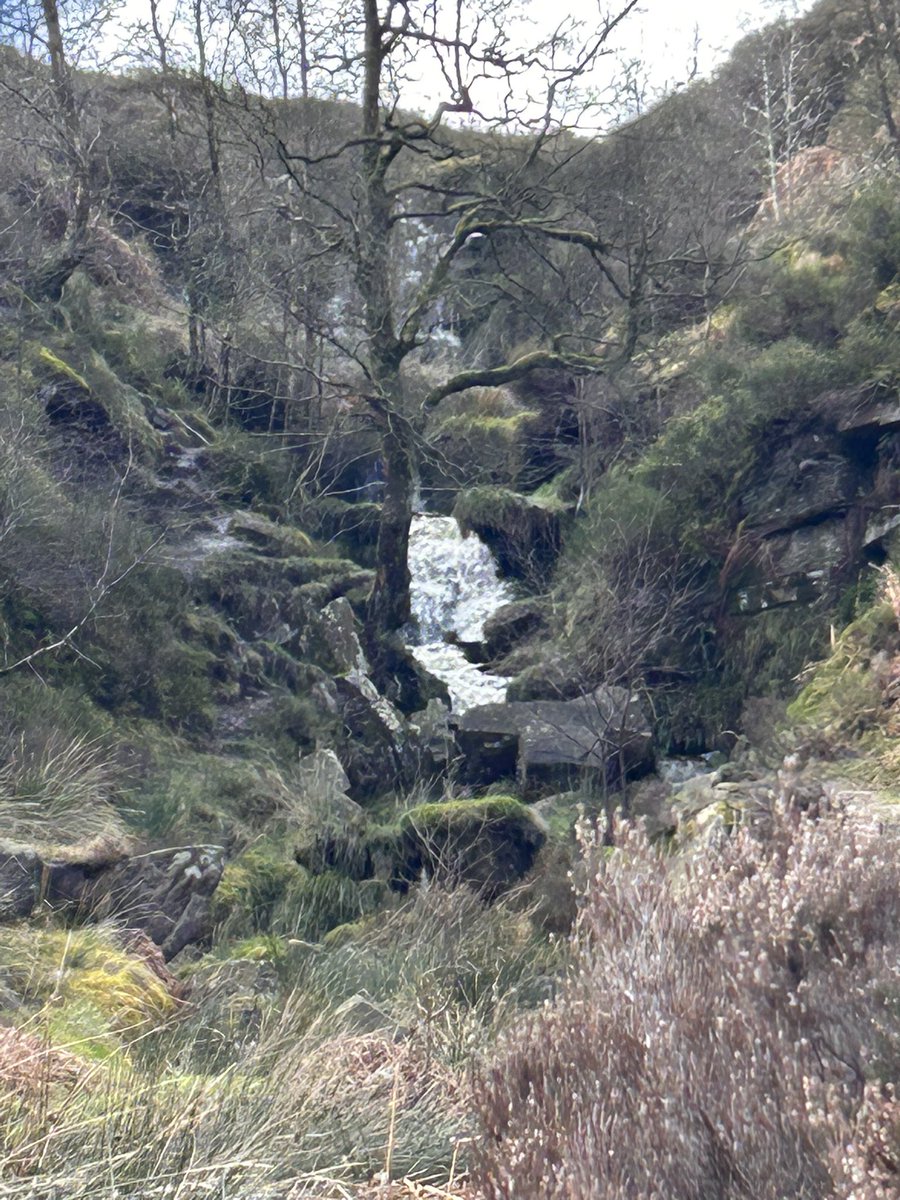 All four seasons experienced up on the Top Withens today, Kane loved all the sensations