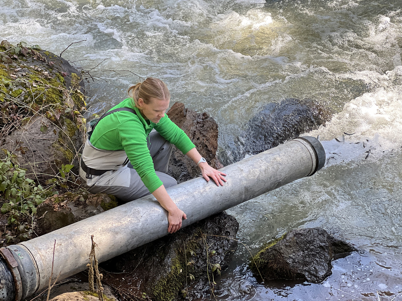 Mt. Lassen Trout Farm Helps Restore Endangered Chinook Salmon in California #cagrown #caa #caaquaculture #aquaculture #californiaaquaculture #seafood #eatfish #eatseafood #eatmorefish #usgrown #loveyourfarmer #feedthenation #agriculture #farmfresh

caaquaculture.org/2023/04/12/mt-…