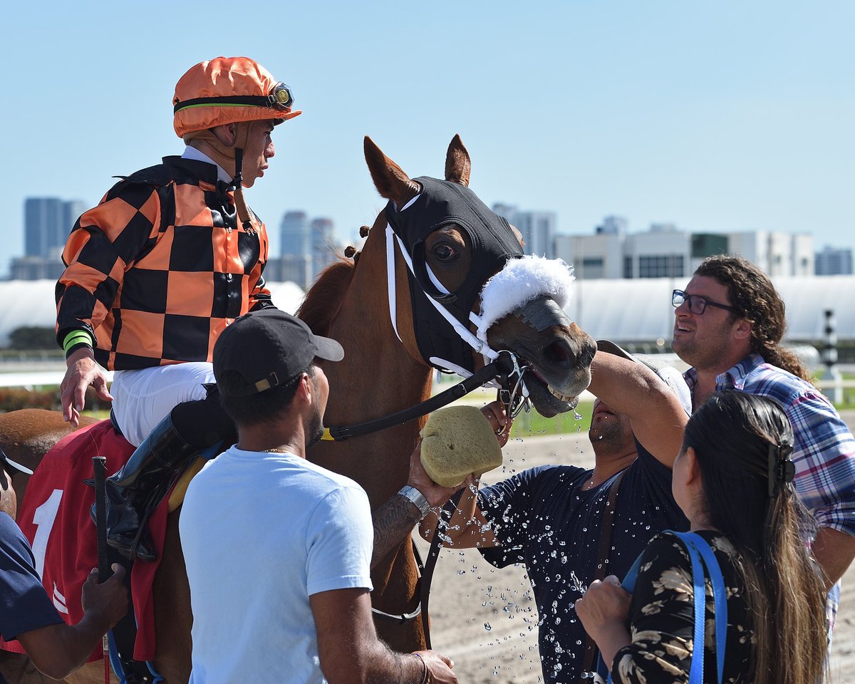 hipicosenlinea's tweet photo. #OjoPelao
La yunta Irad Ortiz Jr/Saffie Joseph Jr acumulan una elevada efectividad ganadora de 36% en los últimos 5 años.
En la 7ma de Keeneland 4:44 pm VET #12Abr van con la #8 Sister Lou Ann - ML 8/1
#WinPlaceShow
Disfruta del hipismo con https://t.co/6BGfdA7boU
@ParleyEnLinea https://t.co/xmXeHTNyE4