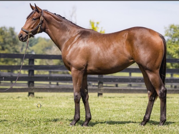 Kathie Roller-Stell tweet media