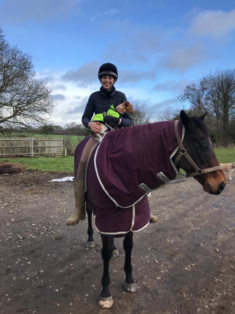 Much loved and very spoilt in his retirement, Danetime Panther - who looks like a thoroughbred but is actually part Labrador ❤️#Standupforracing