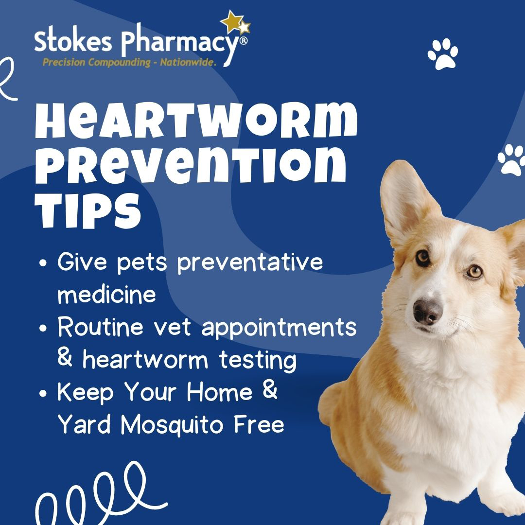 With April being Heartworm Awareness month, here are the top tips to prevent heartworms
#heartwormawareness #heartwormawarenessmonth
