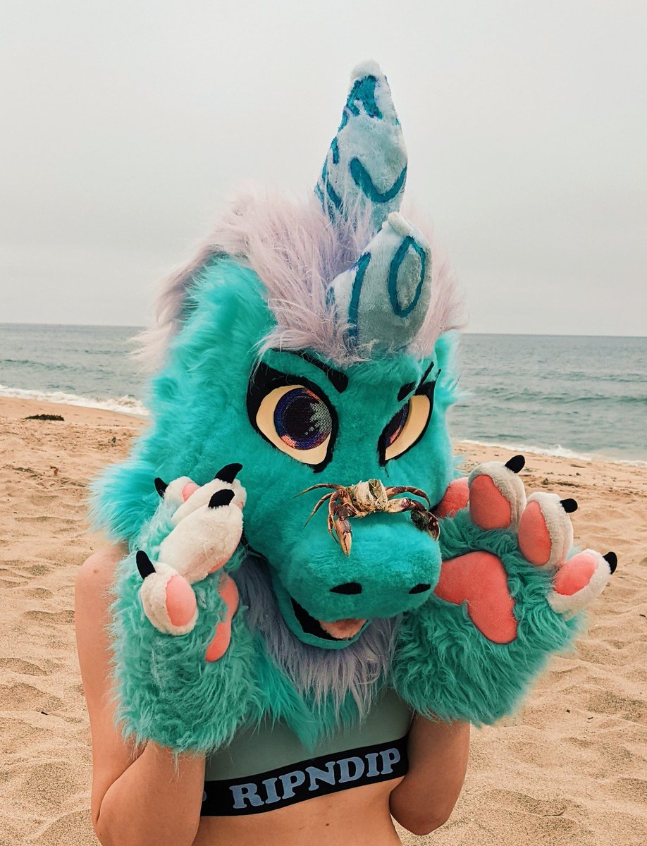 BEIN NORMAL @ THE BEACH :P

🩵
 #goldenstatefurcon #furrygirl #fursuit