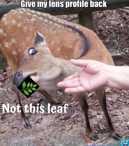 This meme has been created on
<a href="/Memester_xyz/">memester (🌿)</a>

the NFT meme platform of
<a href="/LensProtocol/">Lens</a>

.#Lens、#Lensverse、#Memester