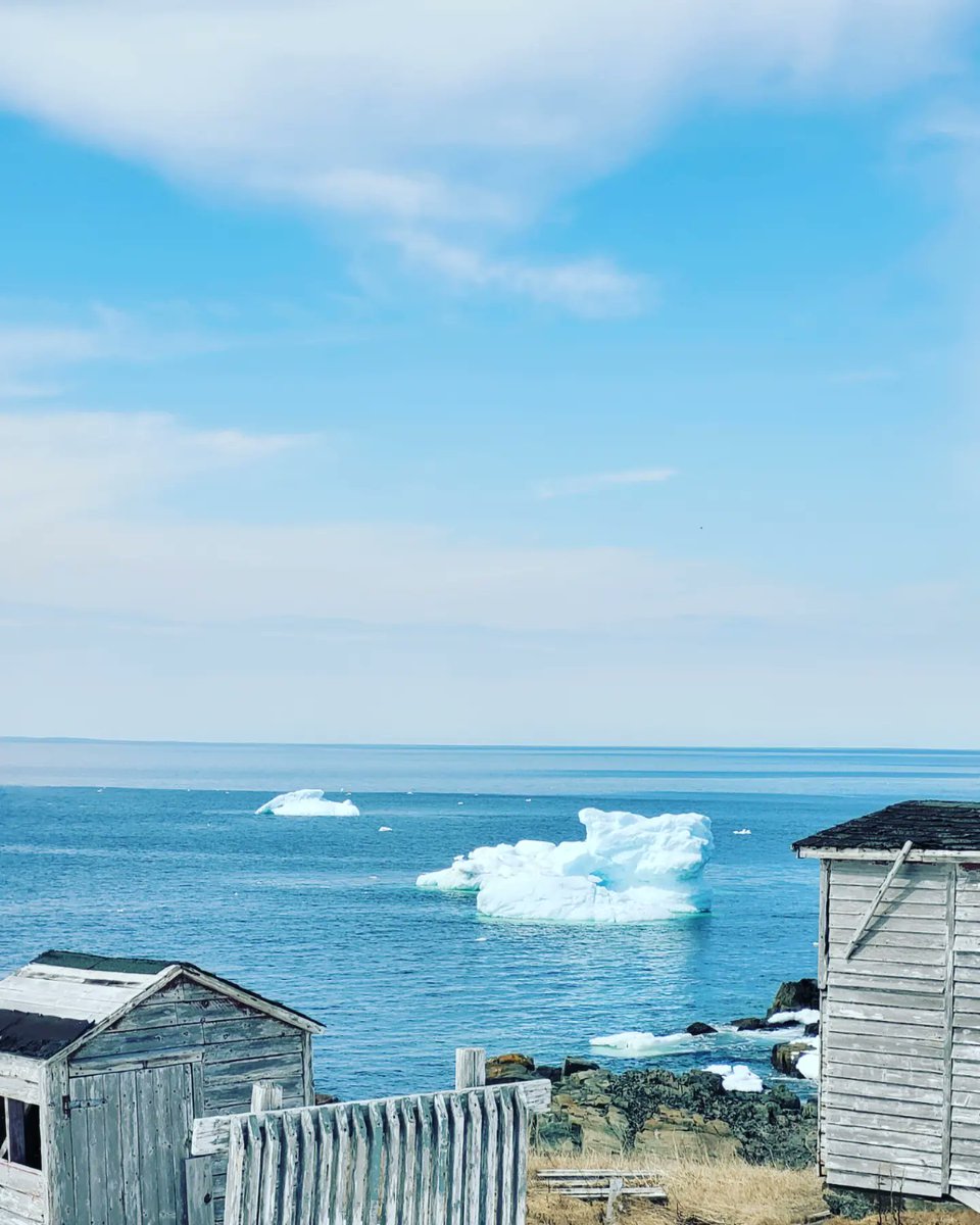 AmandaAdey2's tweet photo. One of the perks of travel with my job. Couldn't pass on this gorgeous day to go to the Cape! #bonavista #capebonavista #beautifulnewfoundland #travelforwork #lunchbreakviews #gorgeous #saltwaterjoys #ice #sitevisitforwork #blessed https://t.co/eNFyKARN65