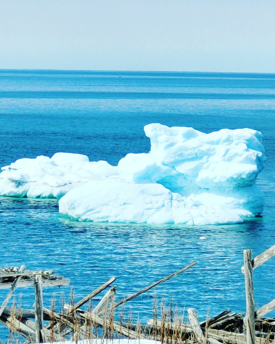 AmandaAdey2's tweet photo. One of the perks of travel with my job. Couldn't pass on this gorgeous day to go to the Cape! #bonavista #capebonavista #beautifulnewfoundland #travelforwork #lunchbreakviews #gorgeous #saltwaterjoys #ice #sitevisitforwork #blessed https://t.co/eNFyKARN65