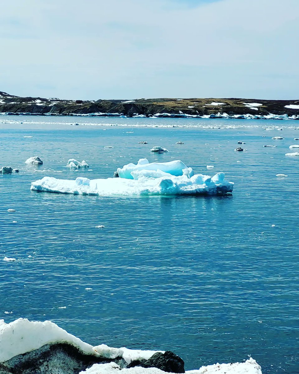 AmandaAdey2's tweet photo. One of the perks of travel with my job. Couldn't pass on this gorgeous day to go to the Cape! #bonavista #capebonavista #beautifulnewfoundland #travelforwork #lunchbreakviews #gorgeous #saltwaterjoys #ice #sitevisitforwork #blessed https://t.co/eNFyKARN65