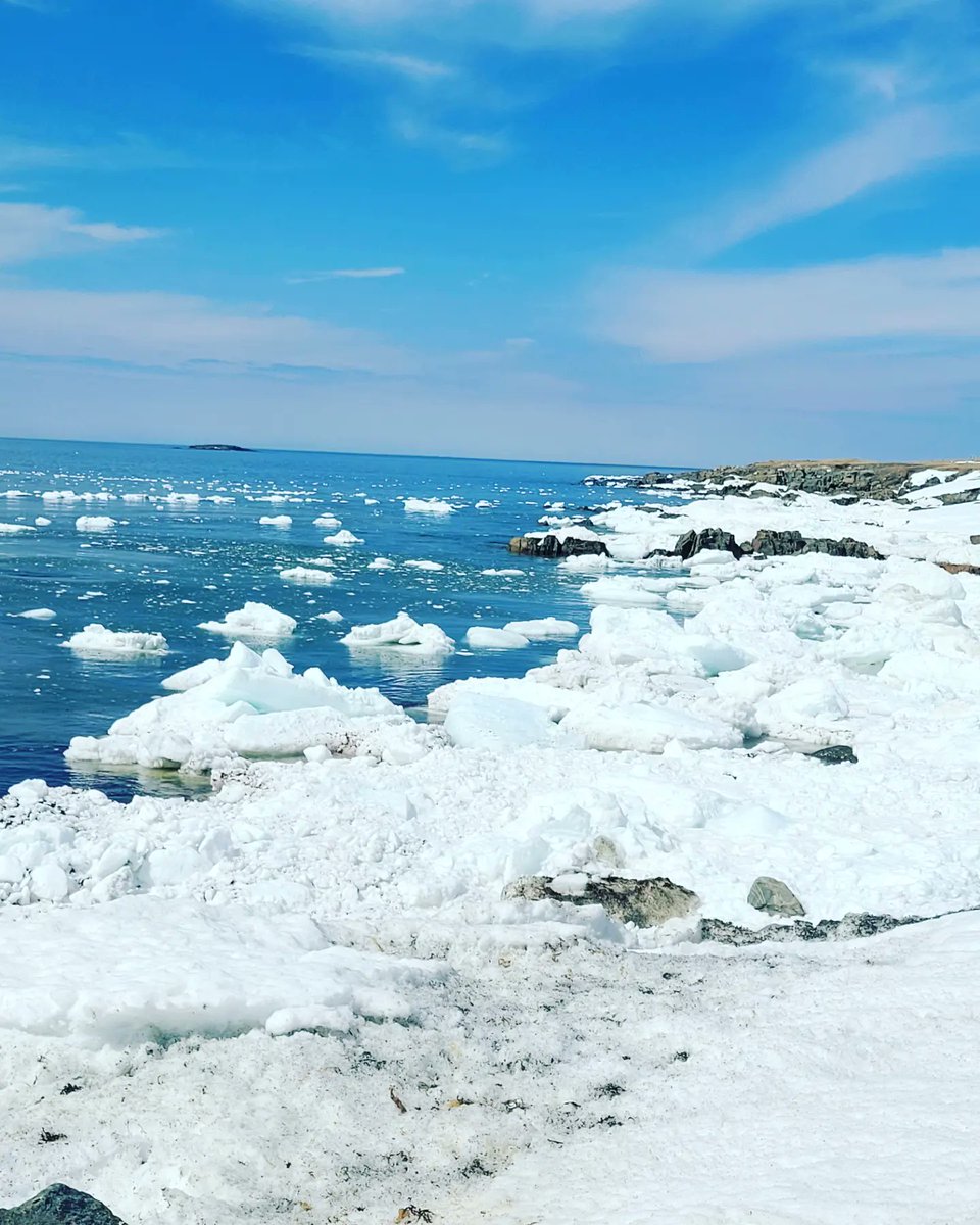 AmandaAdey2's tweet photo. One of the perks of travel with my job. Couldn't pass on this gorgeous day to go to the Cape! #bonavista #capebonavista #beautifulnewfoundland #travelforwork #lunchbreakviews #gorgeous #saltwaterjoys #ice #sitevisitforwork #blessed https://t.co/eNFyKARN65