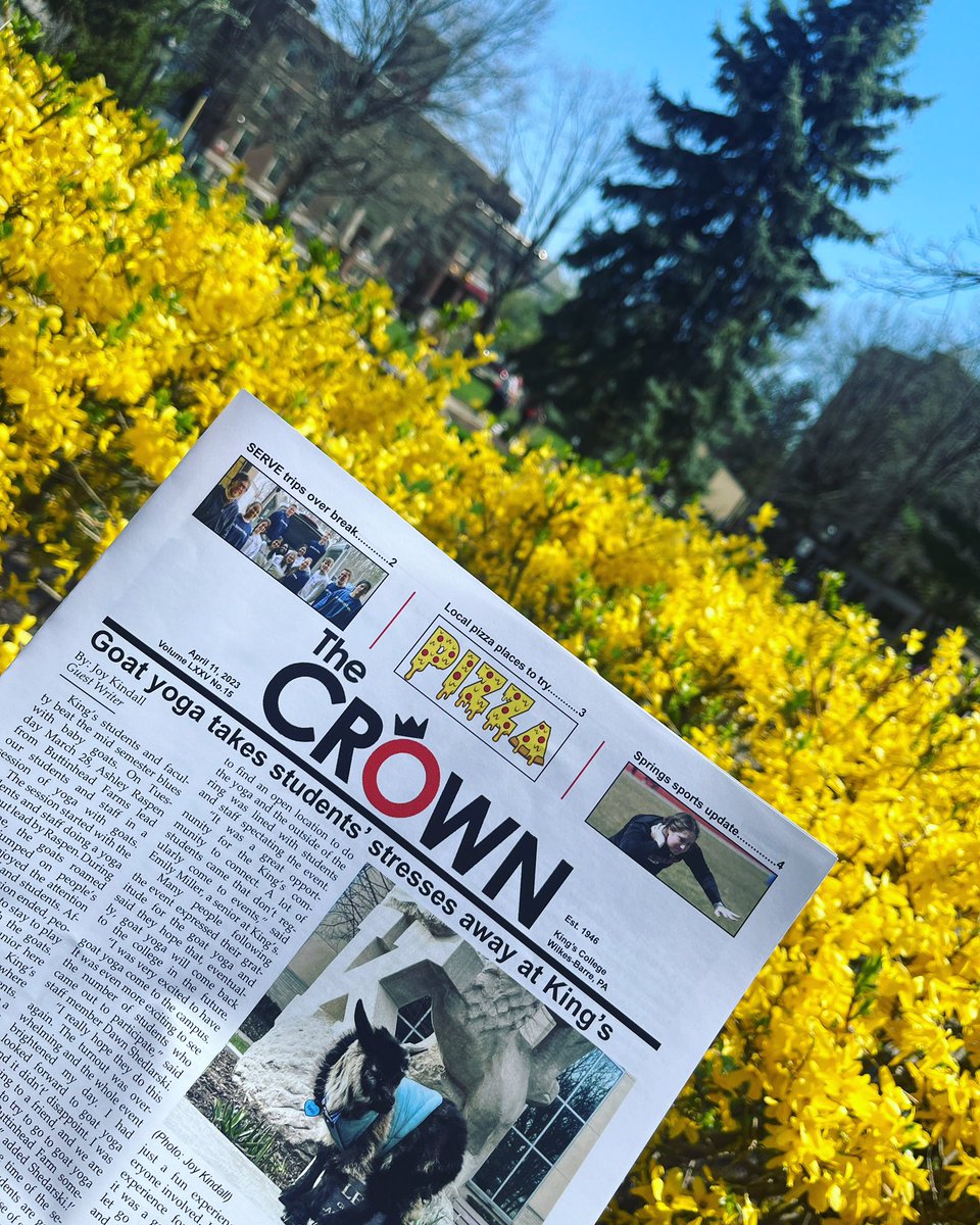 The Crown 🦁👑 tweet media