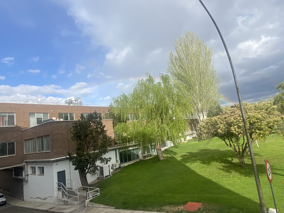 tiempobrasero's tweet photo. Tímido #arcoiris por #Madrid y ¡ olor a tierra mojada! Va a ser efímero... Mañana a abrigarse bien a primera hora, eso sí
#borrascaNoa #lluvias #refresca https://t.co/Hpw5gWh4KD