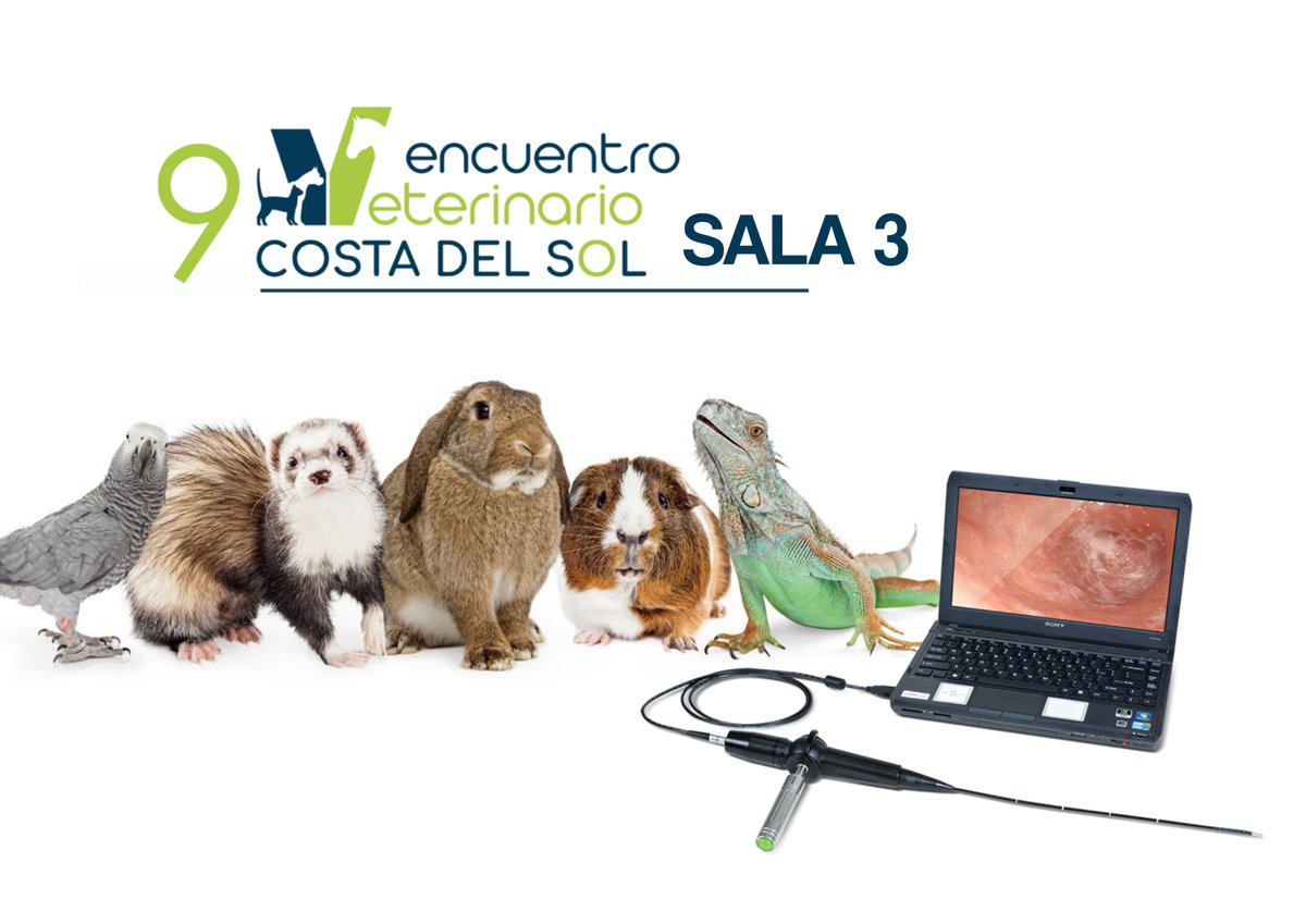 colvetmalaga's tweet photo. 9º ENCUENTRO VETERINARIO COSTA DEL SOL 
🩺🌞🦎🐇🦜🐢

En la sala 3 disfrutaremos de formación especializada a cargo de Xavier Valls Badía, en técnicas de endoscopia aplicadas a mamíferos, aves y reptiles.

☎ 673 977 835  
📧secretaria@inscripcionesencuentroveterinario.com https://t.co/dIDCavsZpp