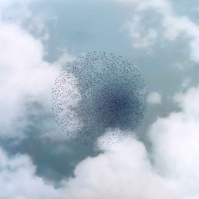 Art_Clvb tweet media