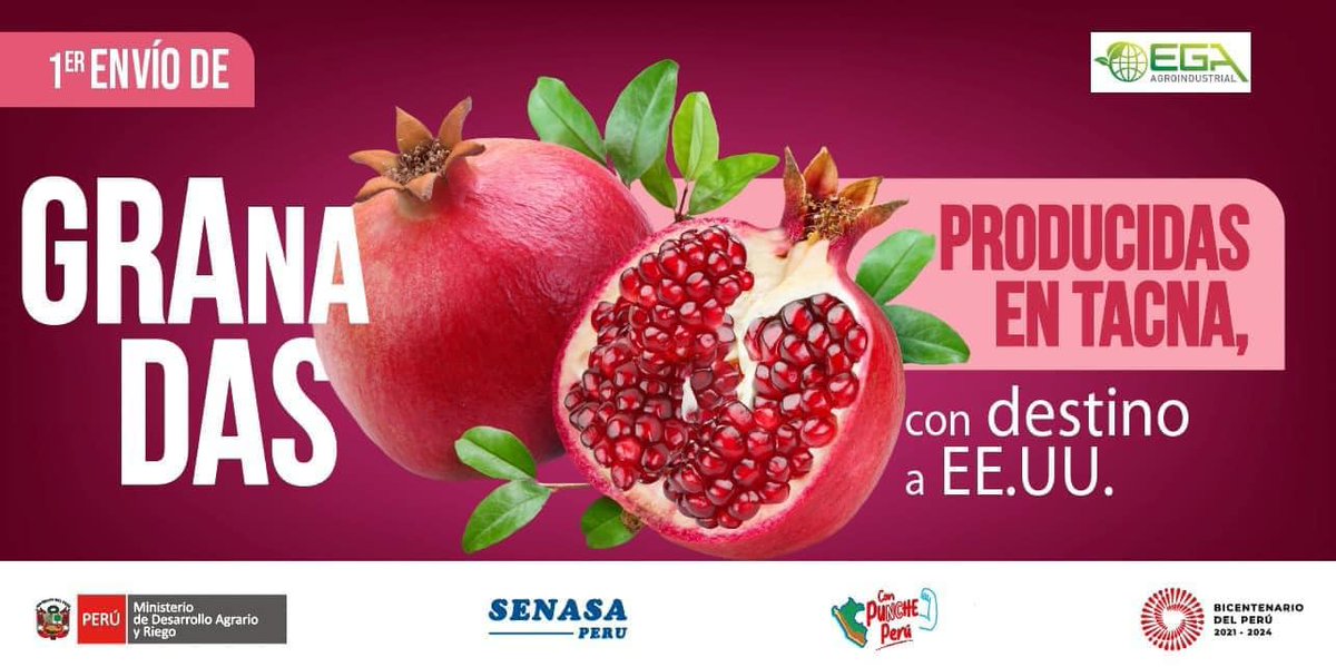 #NoticiasZofra 📢 : 𝗦𝗔𝗟𝗘 𝗘𝗟 𝗣𝗥𝗜𝗠𝗘𝗥 𝗖𝗢𝗡𝗧𝗘𝗡𝗘𝗗𝗢𝗥 𝗗𝗘 𝗚𝗥𝗔𝗡𝗔𝗗𝗔 𝗖𝗢𝗡 𝗗𝗘𝗦𝗧𝗜𝗡𝗢 𝗔 𝗘𝗦𝗧𝗔𝗗𝗢𝗦 𝗨𝗡𝗜𝗗𝗢𝗦
La empresa EGA Agroindustrial, usuaria de nuestro sistema, el día de ayer realizó el primer embarque de granada producida en Tacna 🙌.