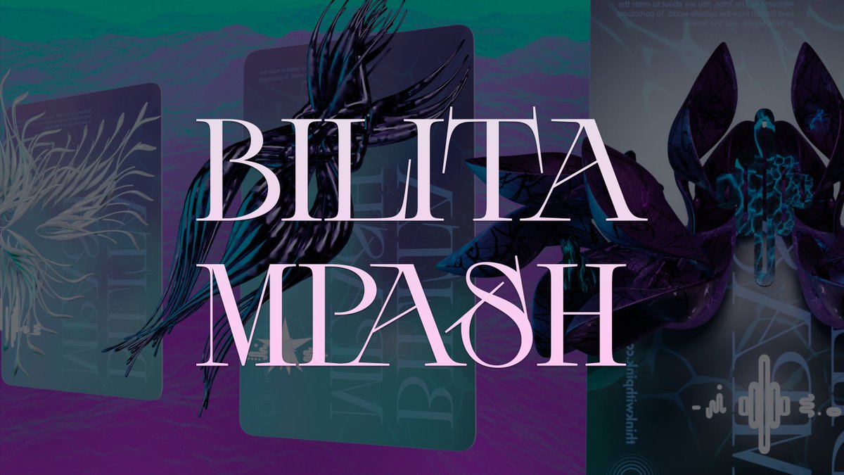 Bilita Mpash tweet media