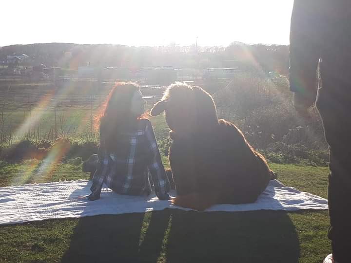 Cakehouse Productions tweet media