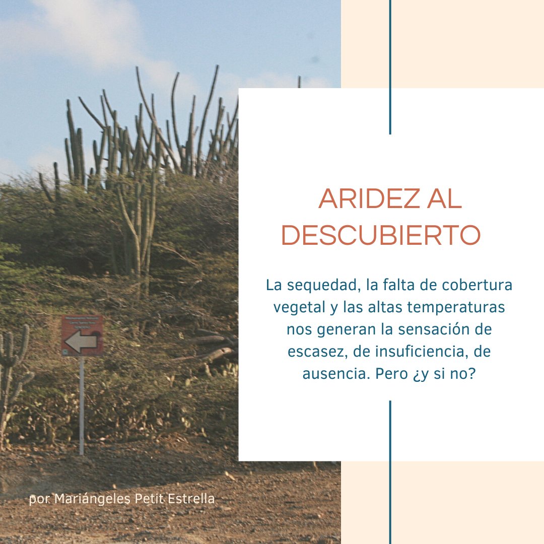 +IDEA sobre Fauna (@ideasobrefauna) on Twitter photo -Calor, viento y arena… ¿desierto? Sí, en ¡Venezuela!
Enterate + en #másIDEAsobreFauna sobre las zonas áridas del #EstadoFalcón de la mano de <a href="/Mariangeles_5/">Mariángeles</a> con “Aridez al descubierto”
idea.conicet.unc.edu.ar/2023/03/07/ari… -Calor, viento y arena… ¿desierto? Sí, en ¡Venezuela!
Enterate + en #másIDEAsobreFauna sobre las zonas áridas del #EstadoFalcón de la mano de <a href="/Mariangeles_5/">Mariángeles</a> con “Aridez al descubierto”
idea.conicet.unc.edu.ar/2023/03/07/ari…