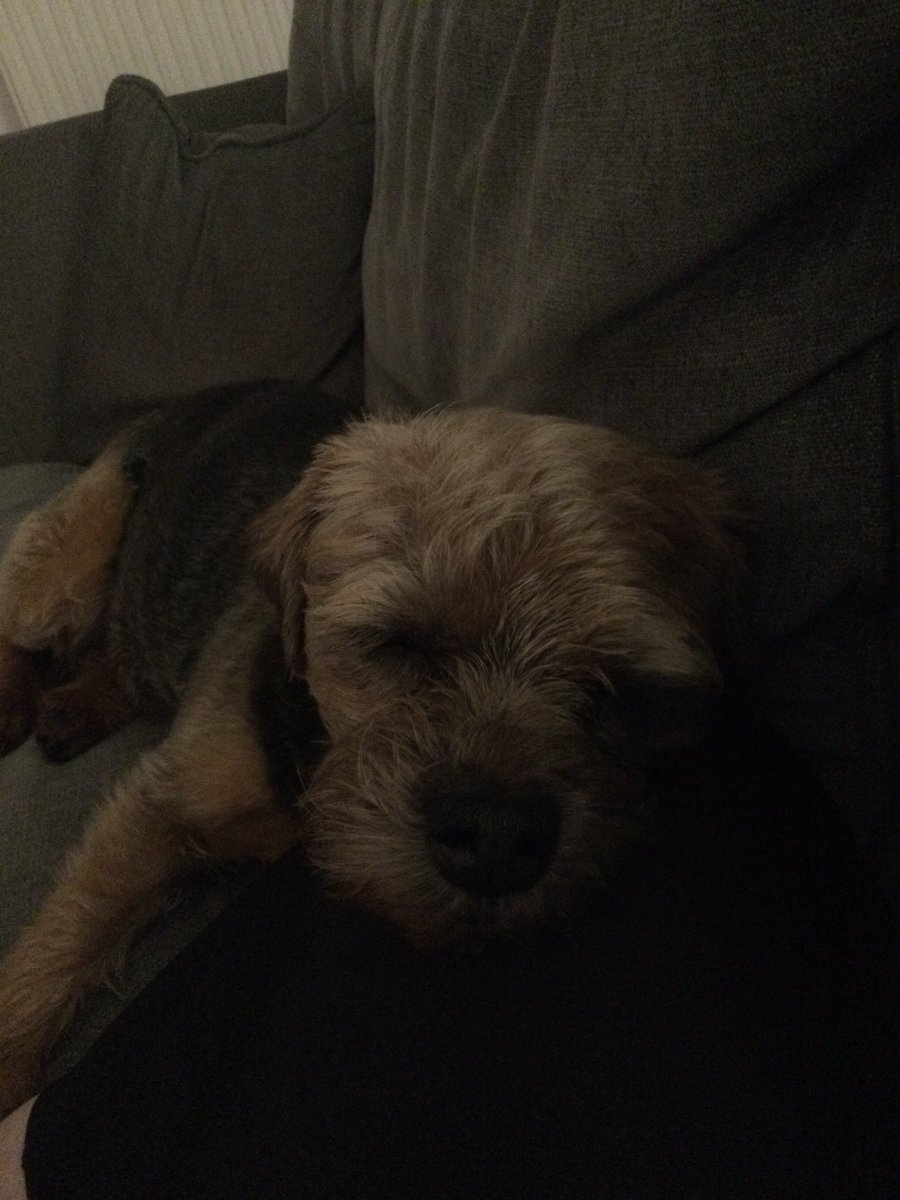 Sleeping on my Mummy. 💤💤