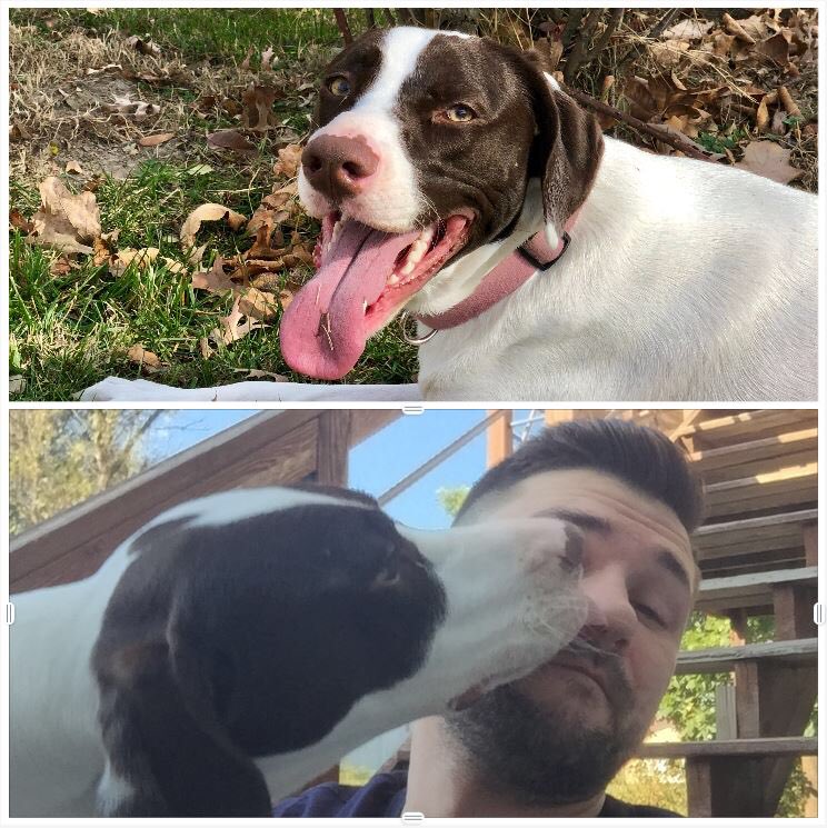 Springfield 3 IBCC (@spfld3ibcc) on Twitter photo Springfield is celebrating #NationalPetDay by showcasing our amazing pets! Check out MORE of these best buddies! @GarciaBeProud <a href="/LifeAtATT/">Life at AT&T</a> <a href="/ShowMeCC/">SpringfieldCultureCouncil</a> #GarciaBeProud #GarciaCulture #LifeAtATT #GrowthWithRespect #GWR Springfield is celebrating #NationalPetDay by showcasing our amazing pets! Check out MORE of these best buddies! @GarciaBeProud <a href="/LifeAtATT/">Life at AT&T</a> <a href="/ShowMeCC/">SpringfieldCultureCouncil</a> #GarciaBeProud #GarciaCulture #LifeAtATT #GrowthWithRespect #GWR