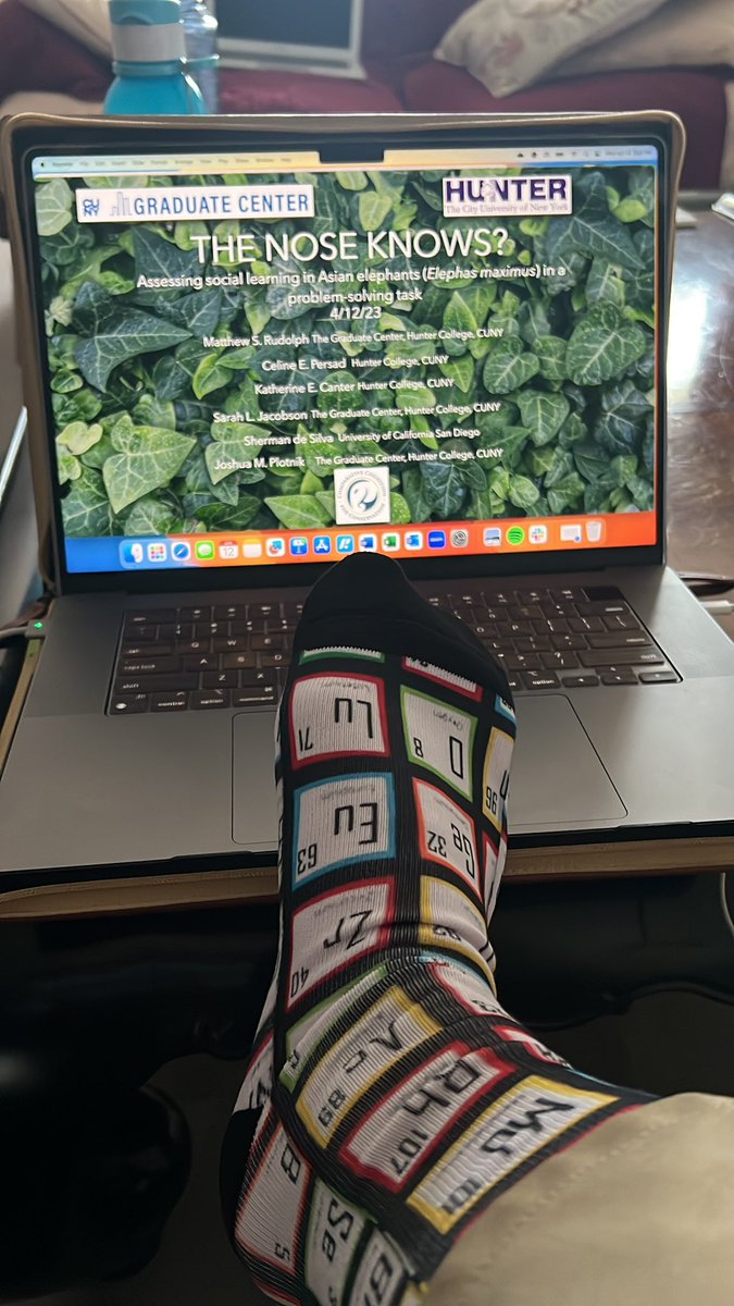 ElephantCommute's tweet photo. Day 1 of the Comparative Cognition Conference, I enjoy giving talks, periodically… https://t.co/IqXmfV3mIU