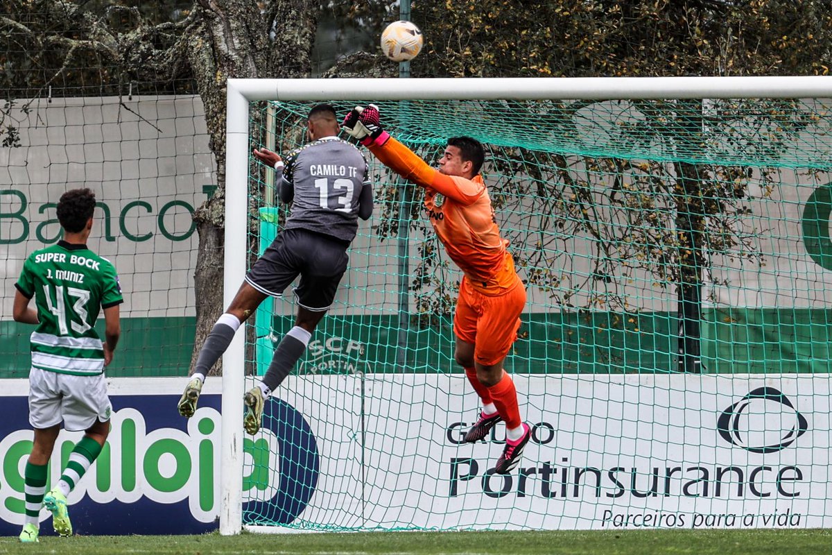 CariocaLeonino's tweet photo. O Sporting CP #EquipeB Empatou em 1 X 1 com o Vitória FC pela 4ª rodada da 2ª fase da #Liga3.
#EquipeBSCP 💪🦁💚 https://t.co/ICXSftwTS2