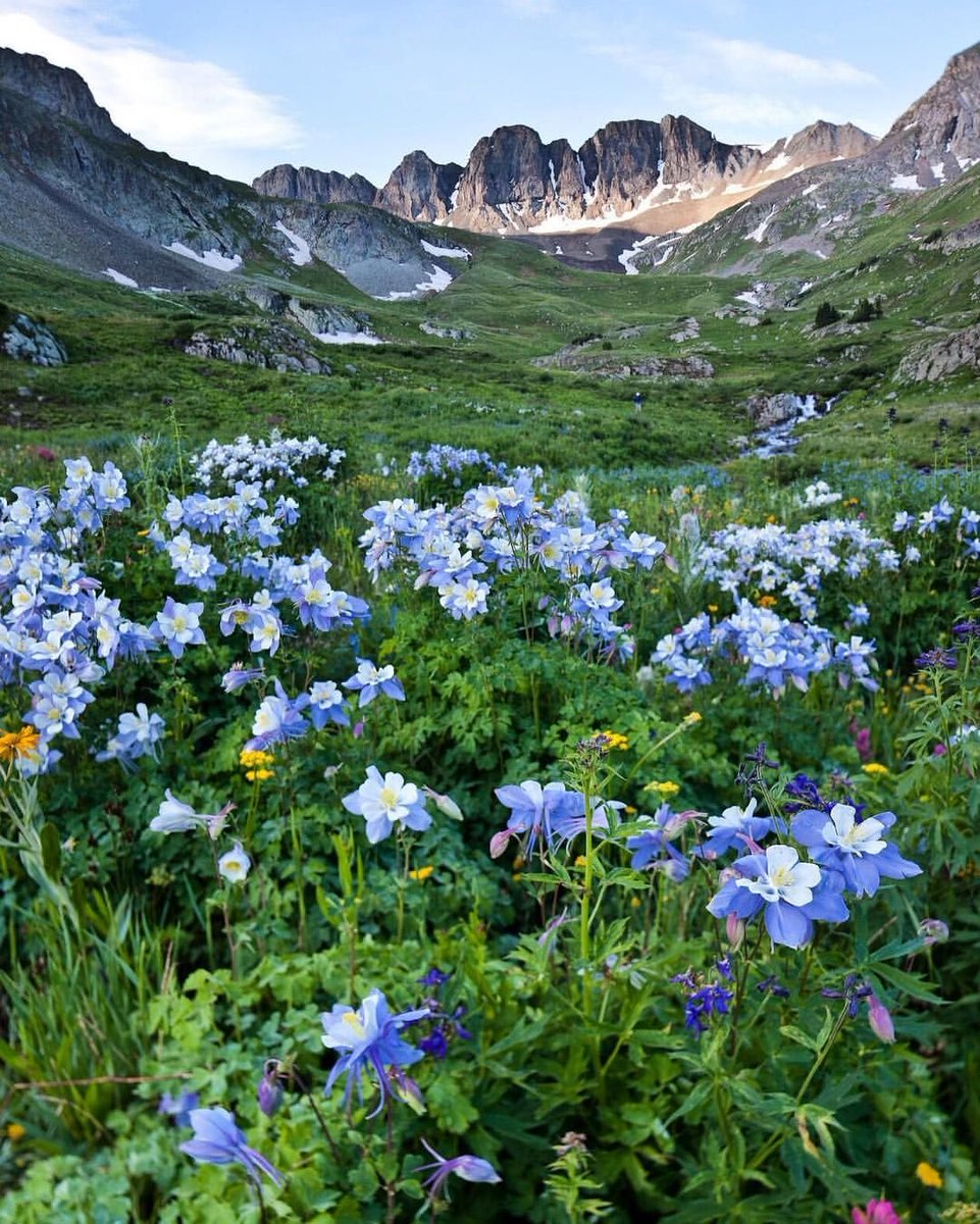 PARADISE IS HERE. #Earth #EarthDay #EarthMonth #NatureGuardian #ClimateEmergency  #naturelovers #naturelover #natural #Flowers #life #JOY #happiness