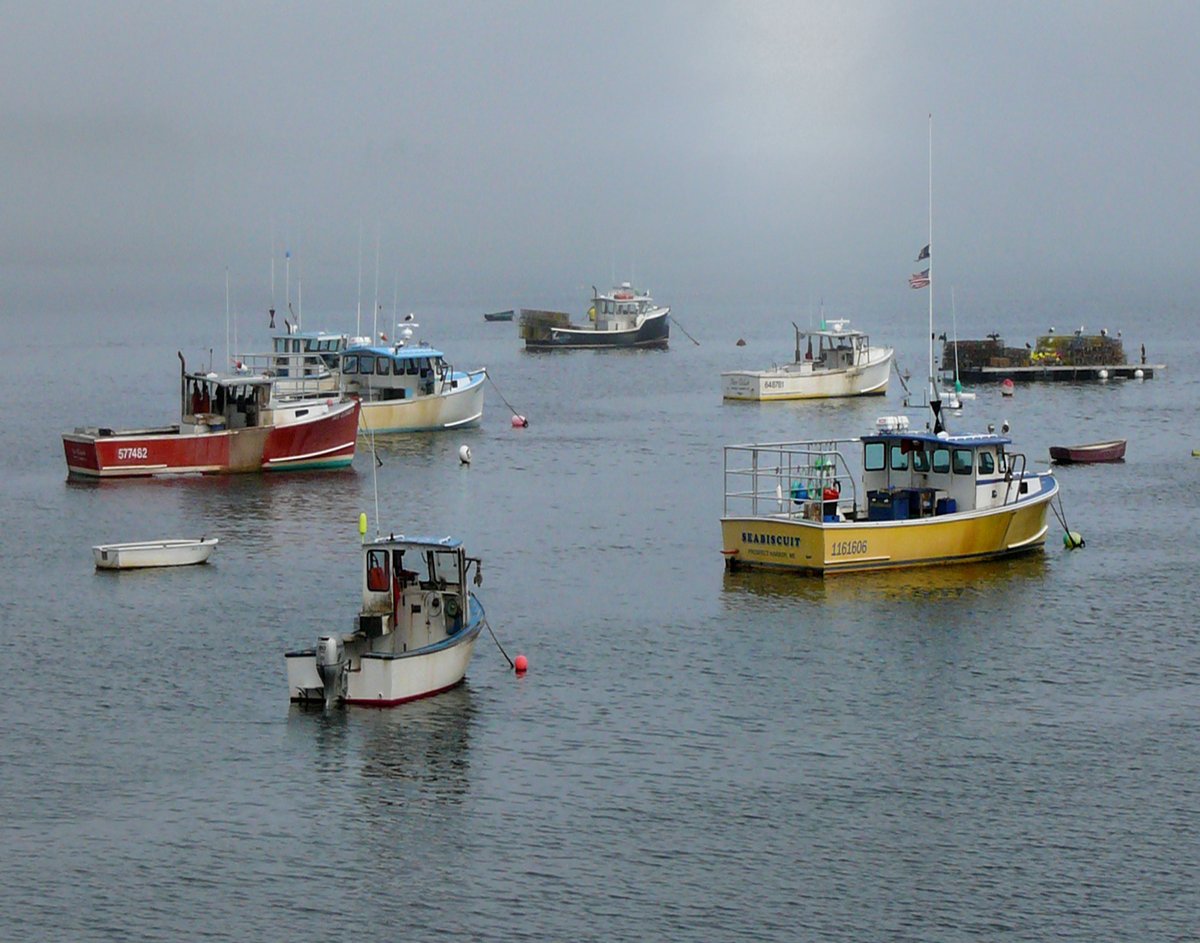 N. American Assoc. of Fisheries Economics & Trade tweet media