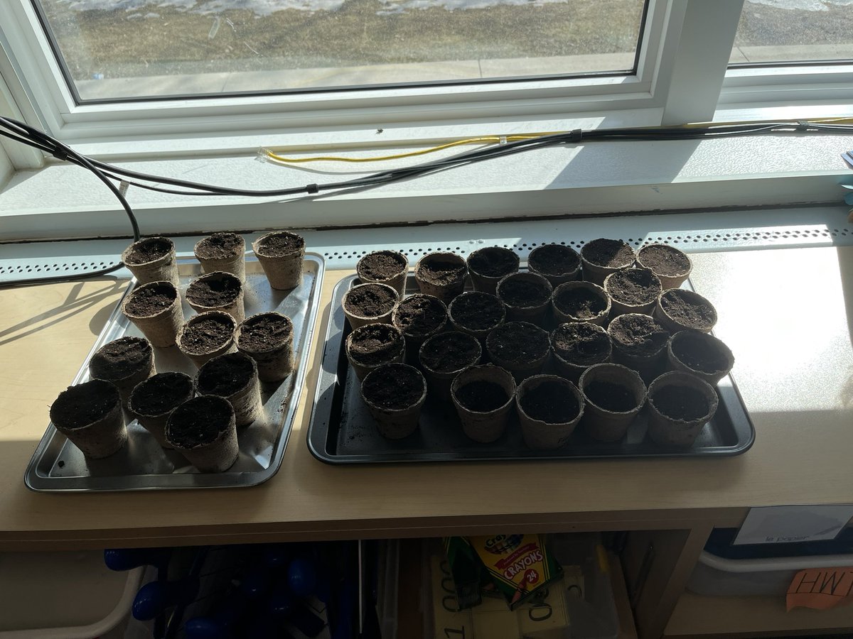 I had a wonderful morning at <a href="/ETPKto4/">École Tuxedo Park</a>!! We talked about the three sisters (corn, beans and squash), we played Simon Says and we did some planting! Merci to the Kinders and Mme Hall!