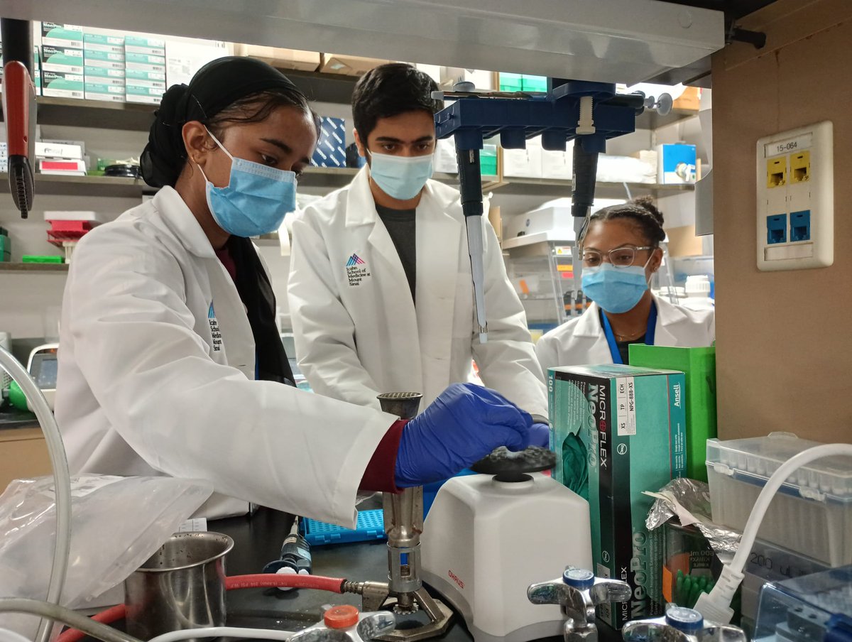 BioBus's tweet image. Some sampling action shots from our New York City Virus Hunters collecting 🕊🦆🦅🦢bird poop 💩💩💩💩 from Central Park! Students then bring the samples 🧫 back to the lab, where they extract RNA to screen 🔬for viruses that might be harmful to birds. #poopscience