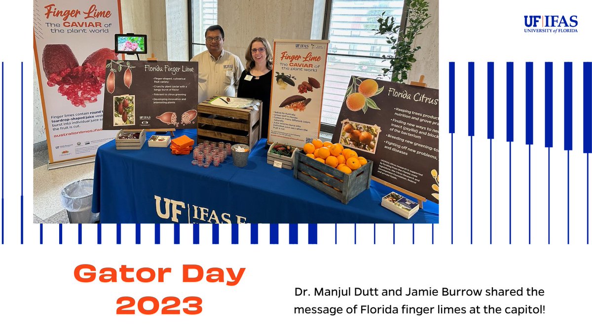 <a href="/UFCitrusBugs/">UFCitrusBugs 🍊🐞</a> <a href="/soil_management/">Water & Nutrient Management Lab UF/CREC</a> <a href="/yuwangcrec/">Yu Wang🍊</a> <a href="/fruitscanbefun/">Manjul Dutt 🧬🐊</a> <a href="/treecophys/">Citrus Physiology</a> <a href="/MRogersUFcitrus/">Michael Rogers</a> <a href="/UF_IFAS/">UF IFAS Solutions</a> <a href="/UFwatersan/">Sandra Guzmán</a> <a href="/haimwater/">Haimanote Bayabil</a> <a href="/Mayeso/">Davie Kadyampakeni</a> #allinforcitrus #UFcitrus #GatorDay