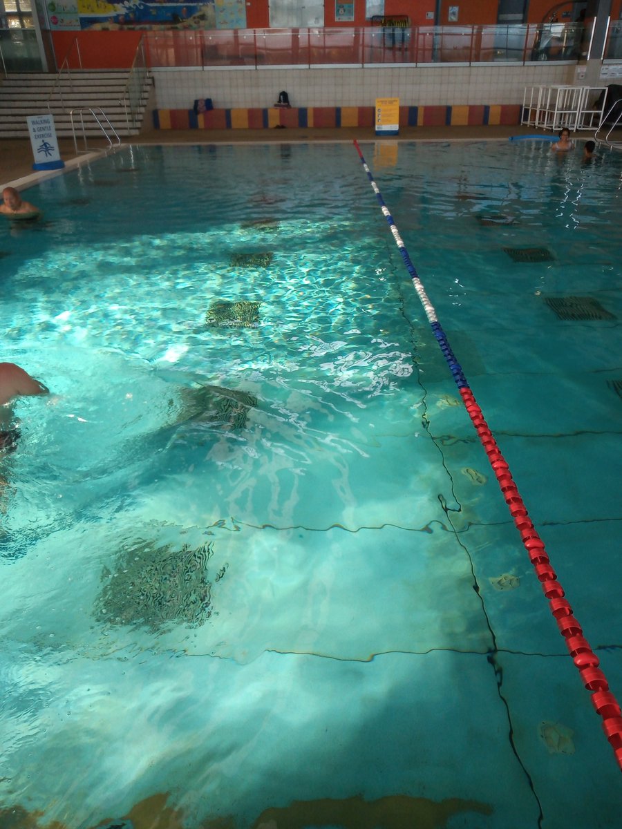 AttungaRacing's tweet photo. Did some walking today in #SwimmingPool Just Doing My Best #Fitness #WaterWalker 💪🙃 https://t.co/7zD6R8thJY