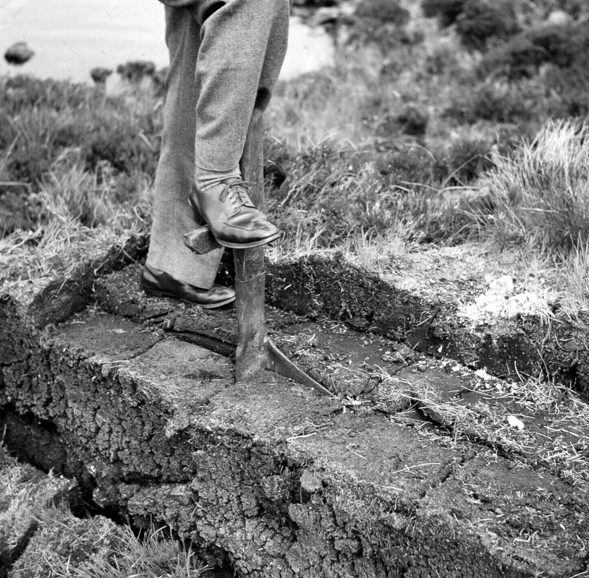 tourscotland's tweet photo. Old Tour #Scotland Ancestry Travel visit Genealogy Scottish Family History Blog photography of a #Crofter cutting peat by #Foindle, #Gaelic: An Fhionndail and information and story of #Peat #Cutting in the #Highlands https://t.co/Y8mIVuAHwT https://t.co/jkyvohZSN4