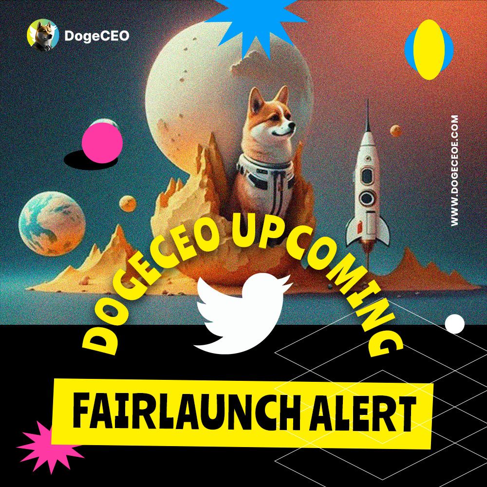 DOGE CEO tweet media