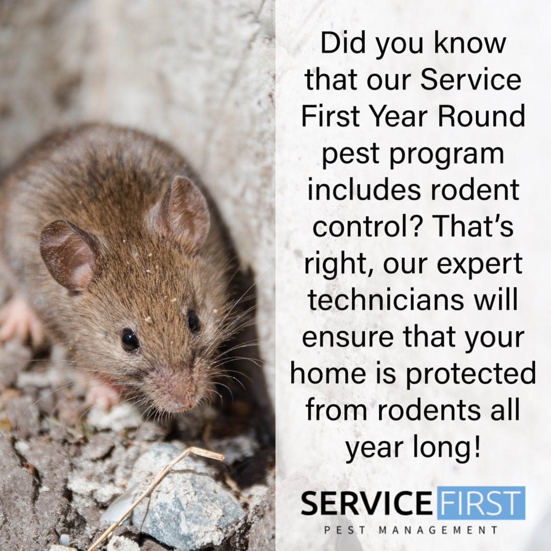 utahpestpros's tweet photo. Keep your property rodent-free all year round with our comprehensive Service First Year Round program! Give us a call to schedule your service! #PestManagement #YearRoundProgram #RodentControl #Rodents #utah #saltlakecity #utahbusiness #pestprevention #pestcontrol https://t.co/PzsoIyRp9i