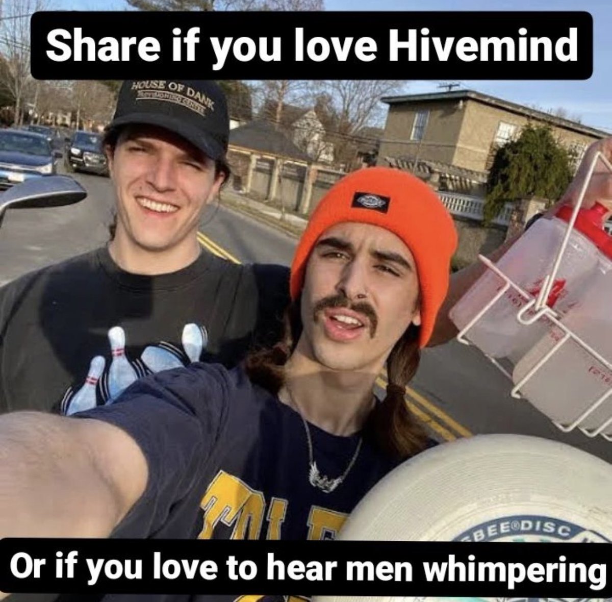 Hivemind tweet media