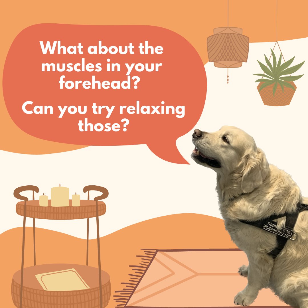 queensusws's tweet image. Take some time to ground yourself with our therapy dog, Oscar! 

P.S. Oscar's last visit this term is tomorrow - stop by Mitchell Hall tomorrow from noon to 1pm to see him!