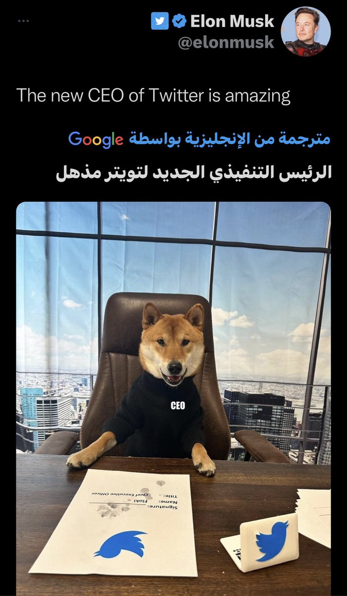 يلهووووي يمه 
يعني مديرنا التفذي بتويتر #كلب 😳
#يخرابي يمه