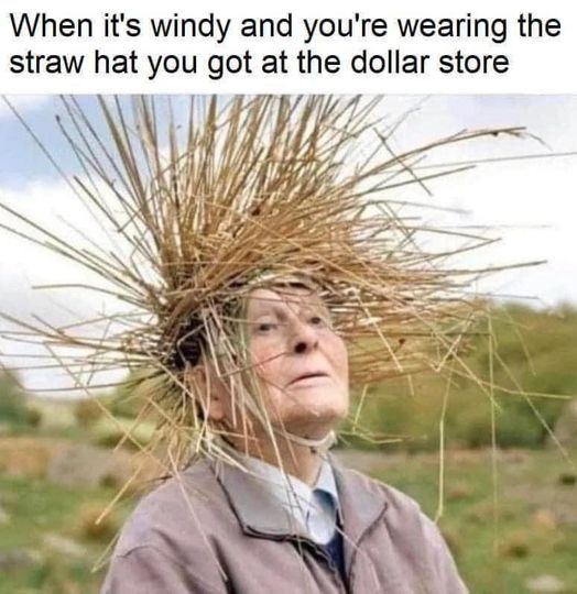 LisbonCU's tweet photo. Wacky Wednesday...
Because we all need a laugh now and then! #WackyWednesday https://t.co/1It9R5K83H
